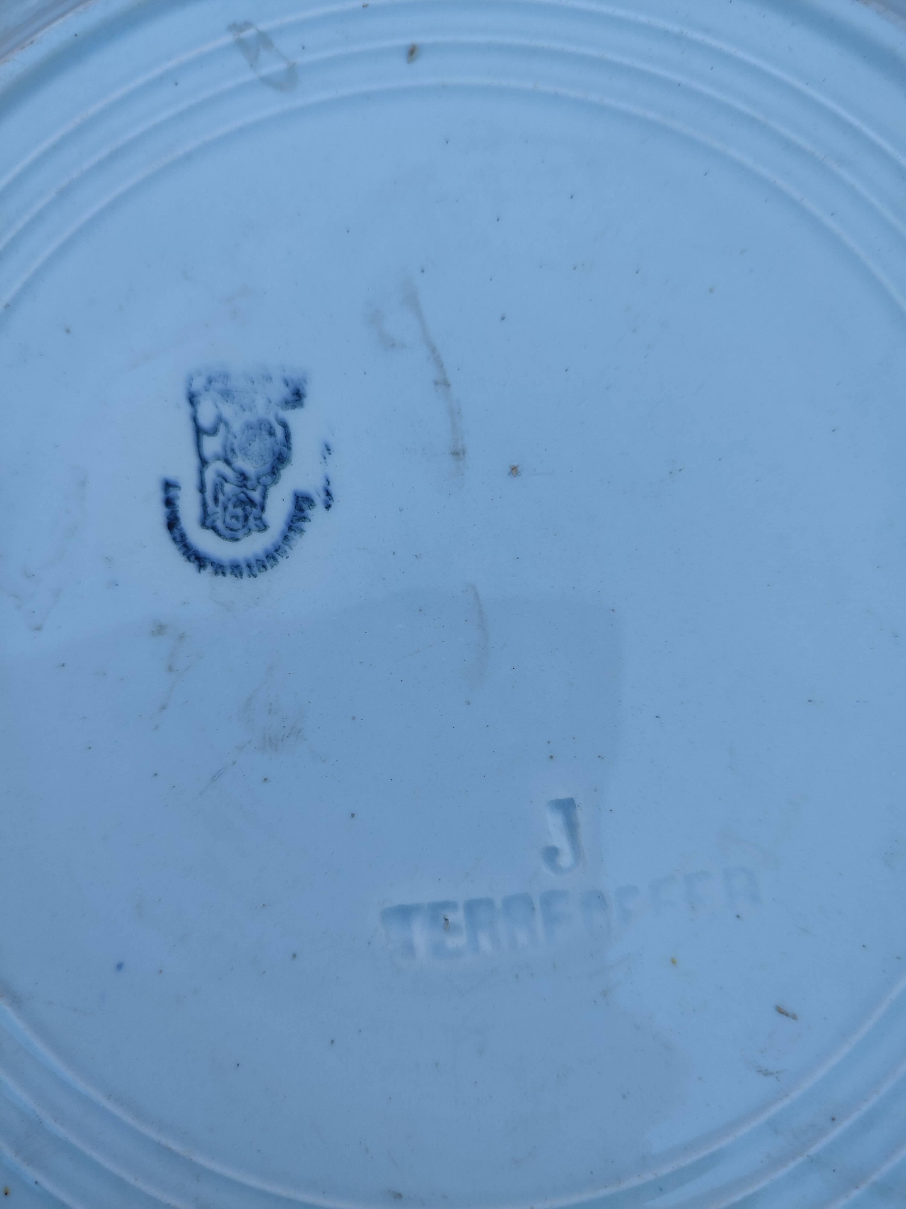 Antique ironstone plate