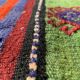 Tapis kilim traditionnel turc shabby 220x174 cm