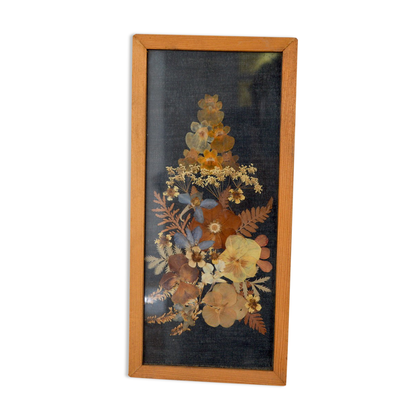 Frame dried flowers