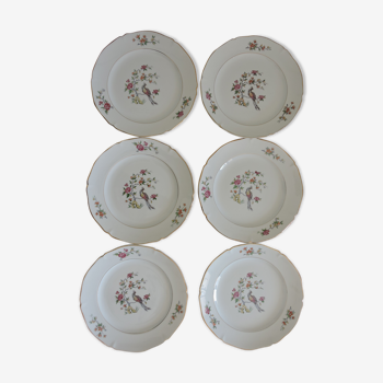 Service de 6 assiettes plates céramique semi vitrifiée, vintage