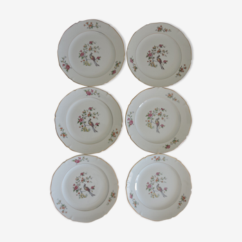 Service of 6 flat plates, semi-glazed ceramics, vintage