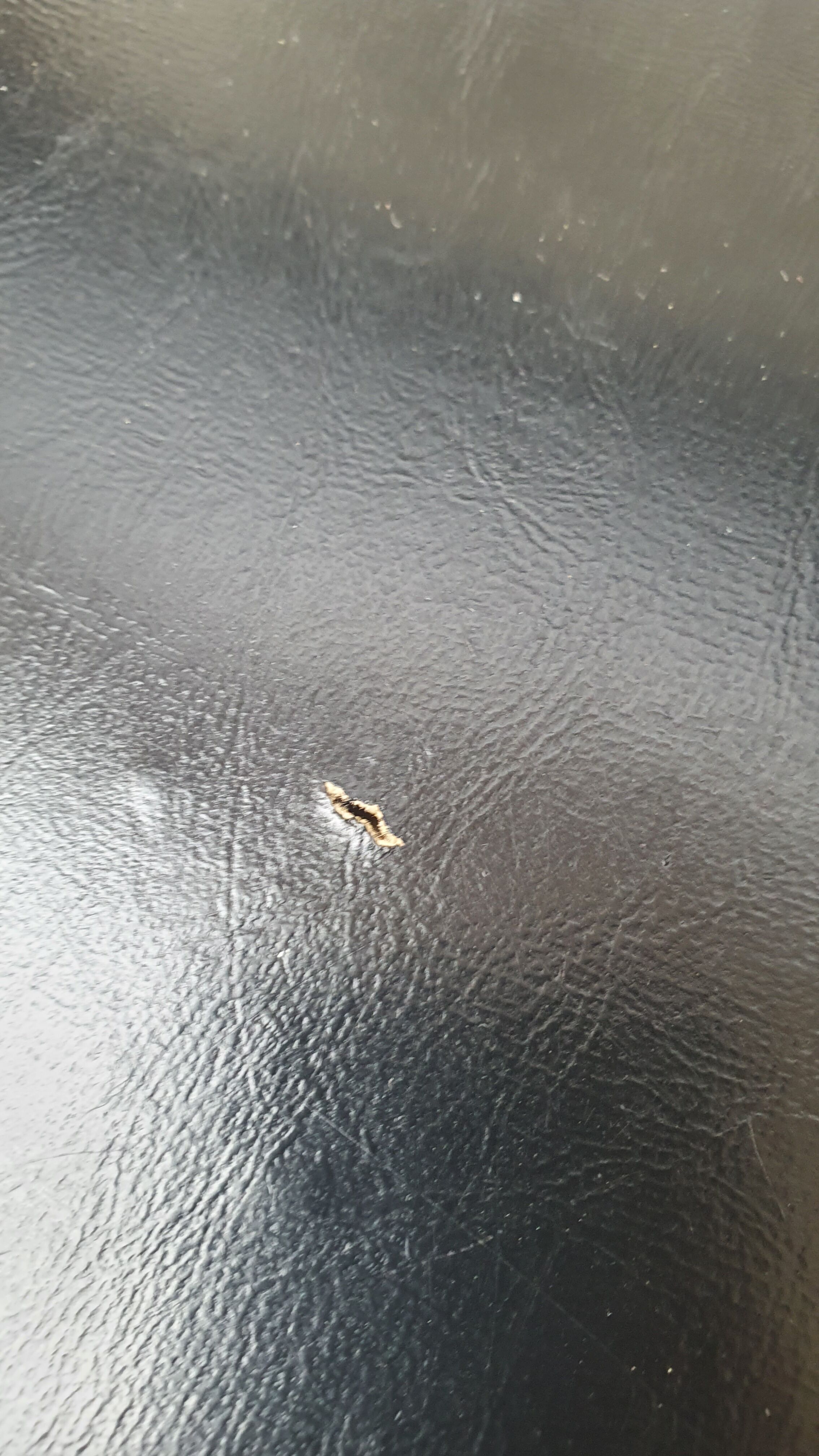 Set of 4 Danish teak chairs from the 60s