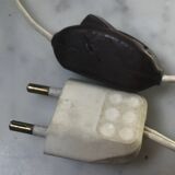 Cassoar lamp