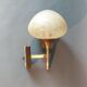 Gilded brass wall lamp by Sciolari, Italy 1960.