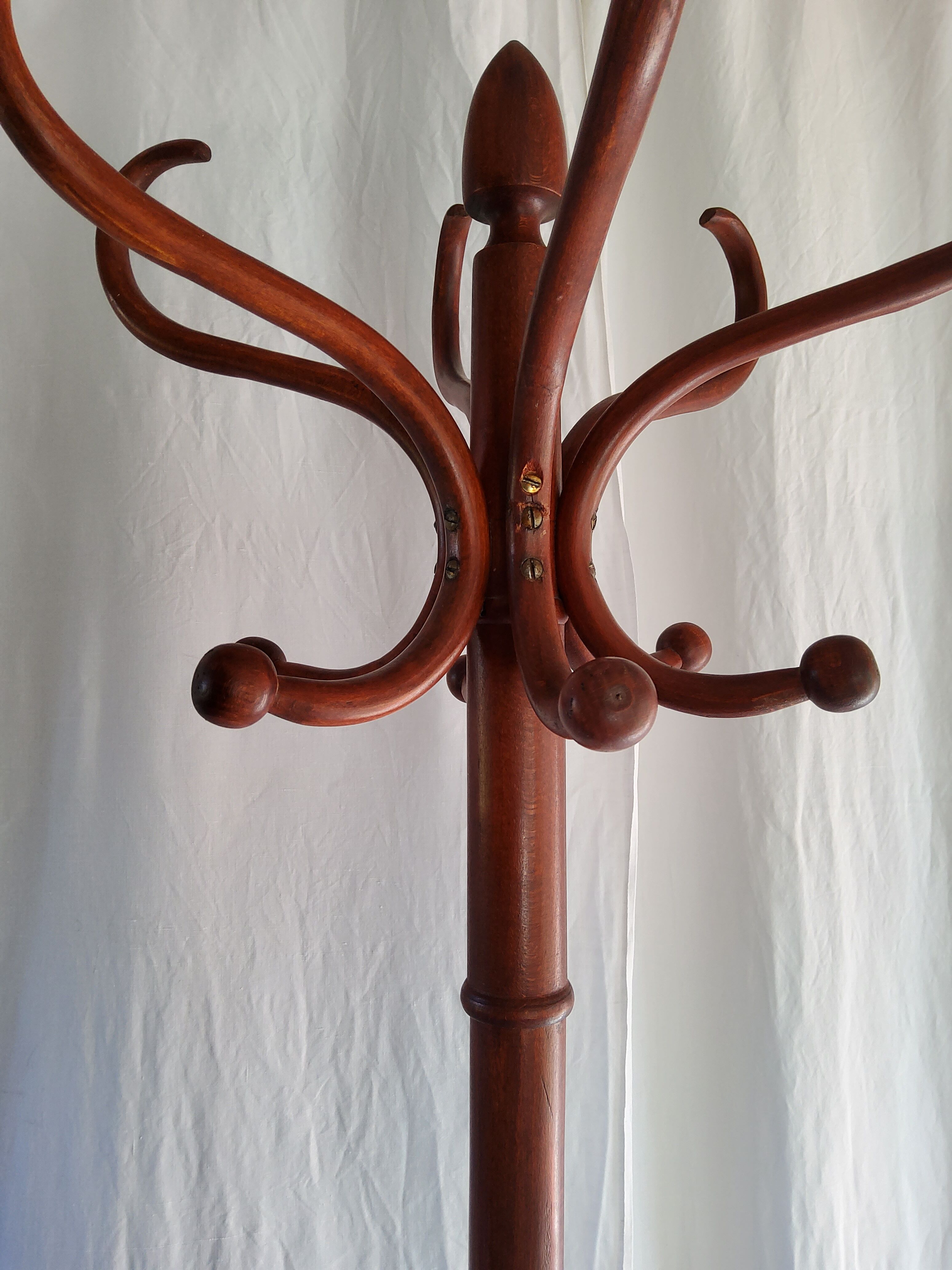 Ancient parrot coat rack