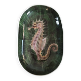 Empty ceramic seahorse pocket