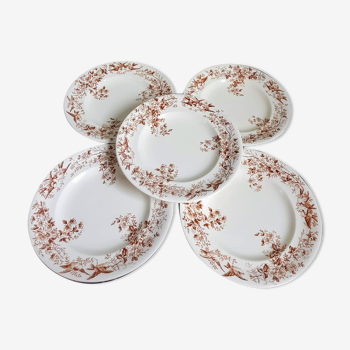 Set of Five Antique French Ceramic Plates with Birds and Flowers - Longwy - late XIX century