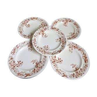 Set of Five Antique French Ceramic Plates with Birds and Flowers - Longwy - late XIX century
