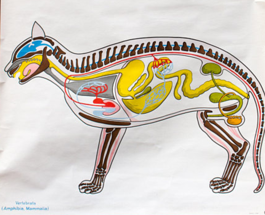 Poster No 8 Verlag Gerhard Gamke Berlin 1967