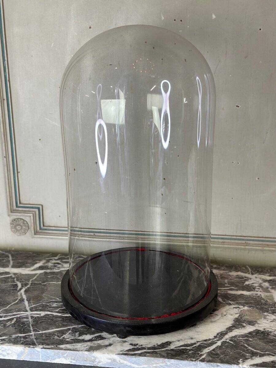 Glass globe on its blackened wooden base, around 1880.