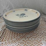 10 assiettes plates anglaises BILTONS