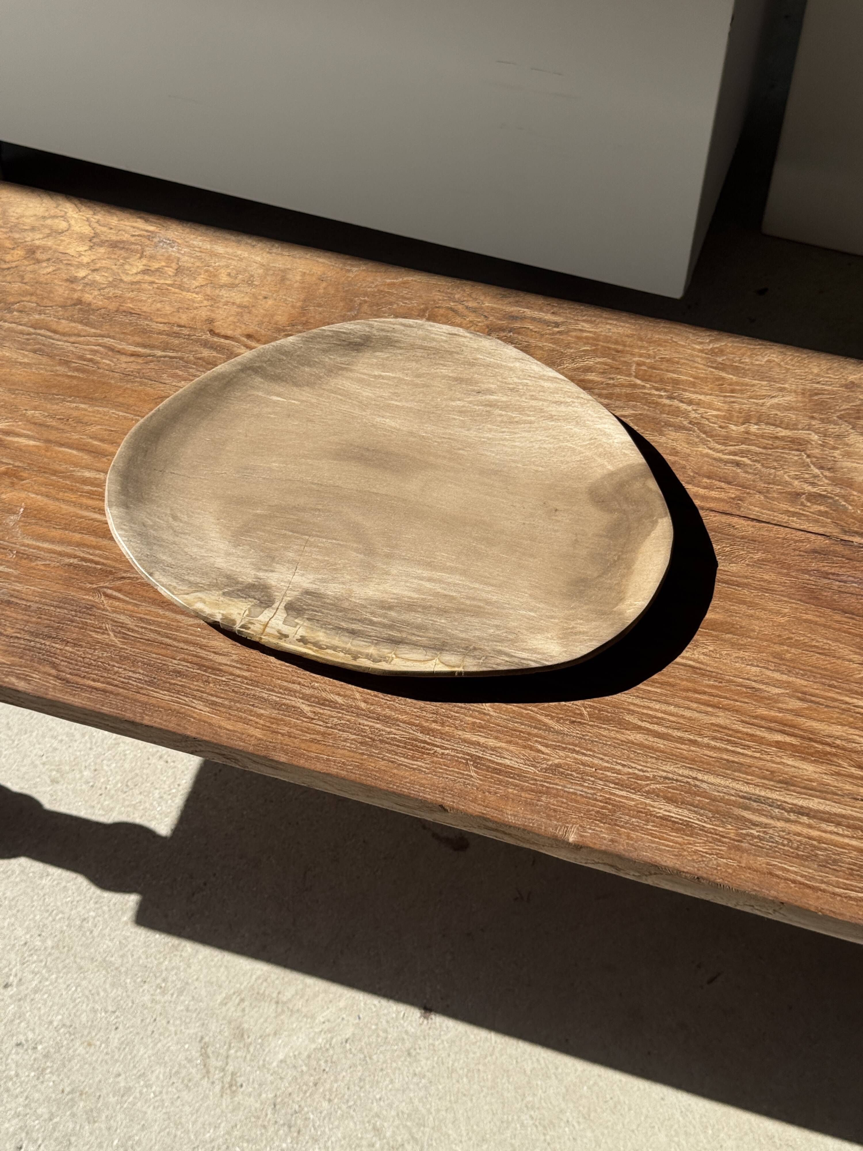 Large oval beige petrified wood dish or bowl D36x28 -3783