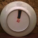 Asian plate