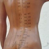 Acupuncture mannequin circa 1960