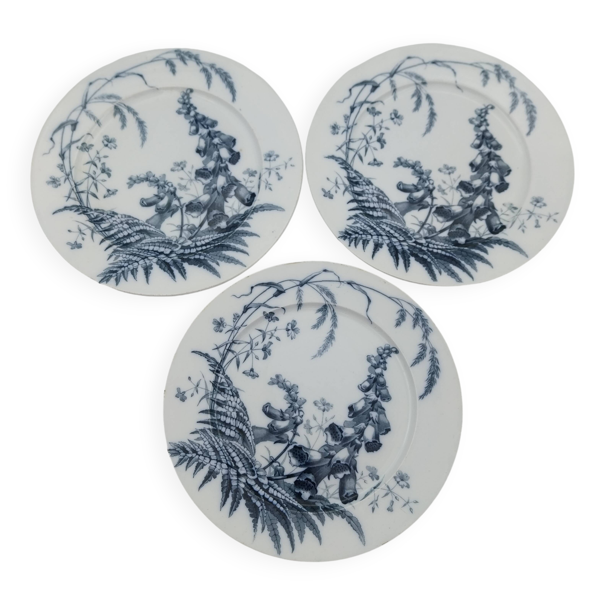3 Brown Westhead Moore field flowers dinner plates
