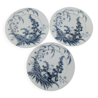 3 Assiettes plates Brown Westhead Moore field flowers
