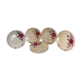 11 Flat plates flower Moulin des Loups and hamage