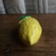 Salt shaker lemon pepper slurry
