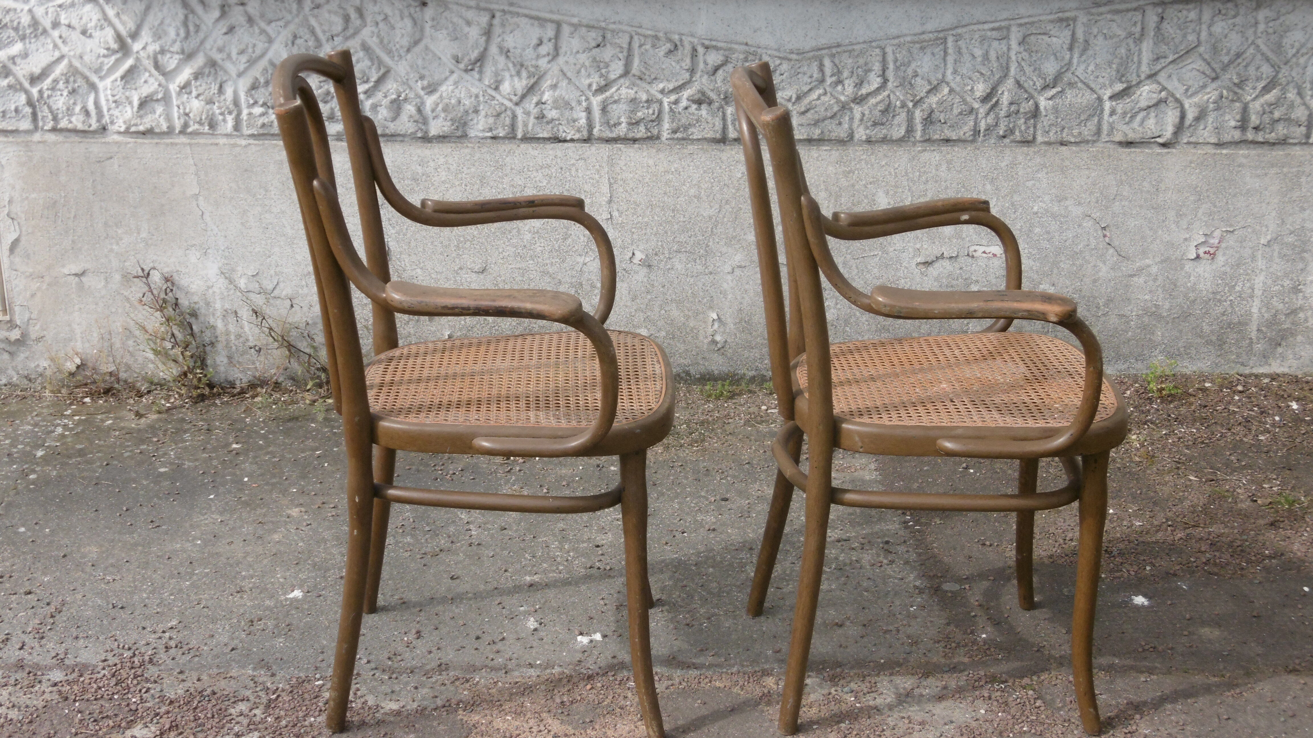 Viennese bistro armchair sitting cane