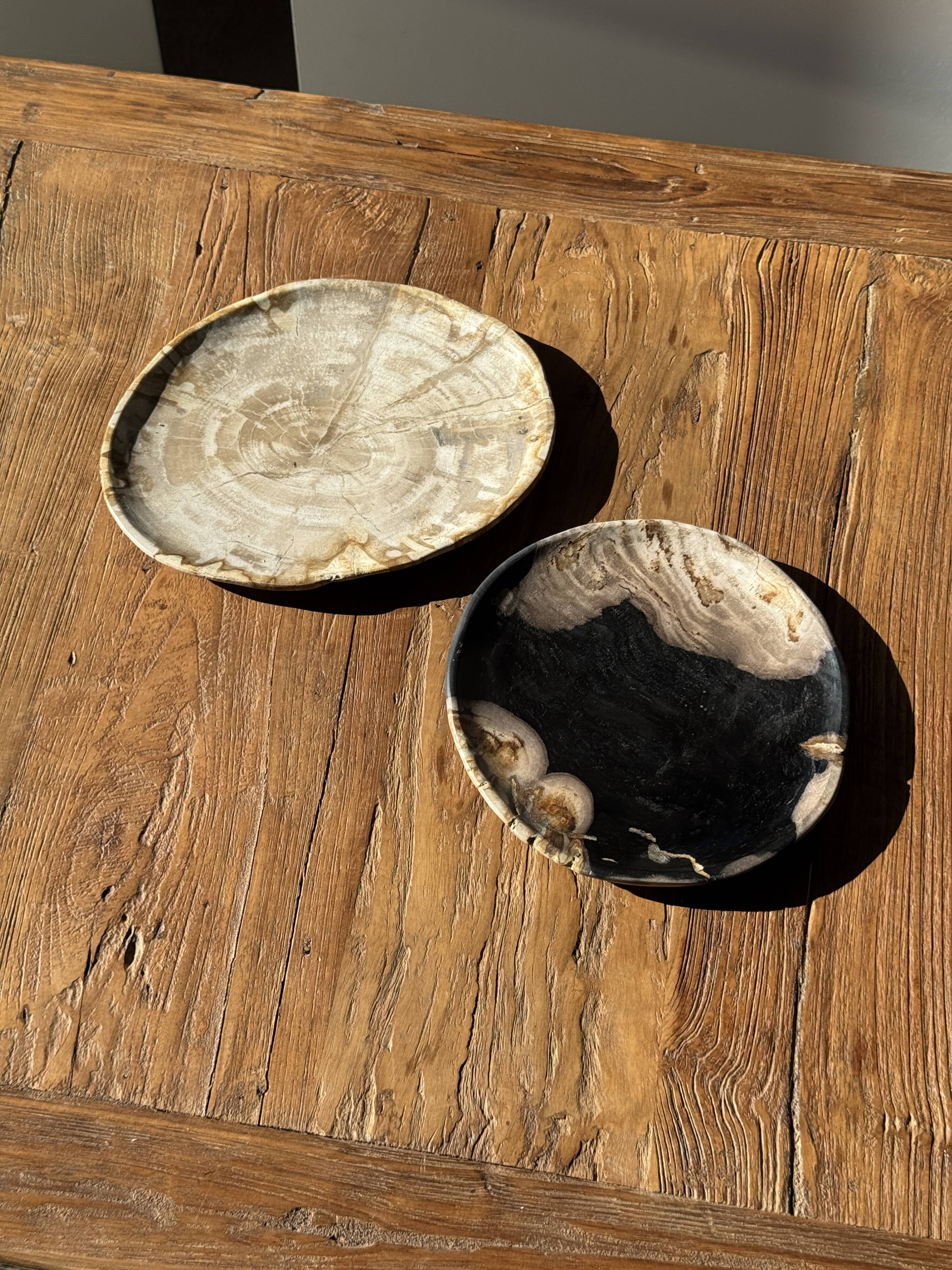 Small pocket tray or dish in black and beige petrified wood D20.5 -3317