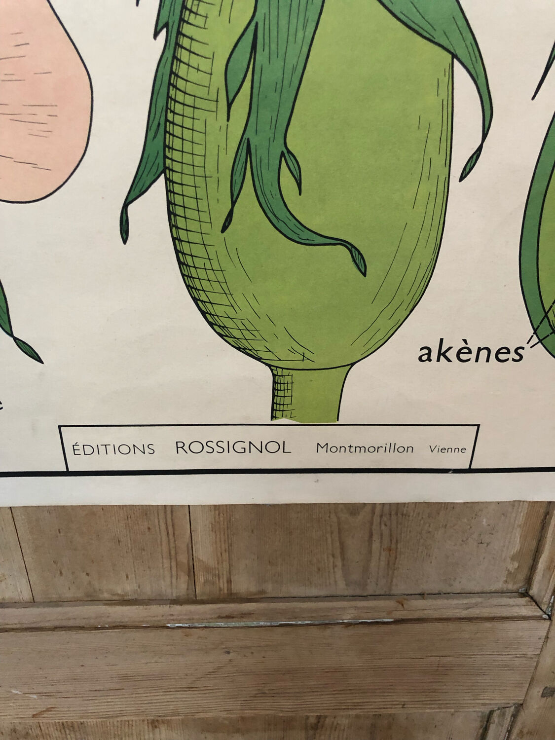 Old double-sided Rossignol school poster