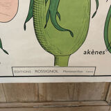 Old double-sided Rossignol school poster