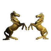 Curved horse manes