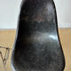 Eames DSS chairs (ed. Herman Miller - fibreglass)