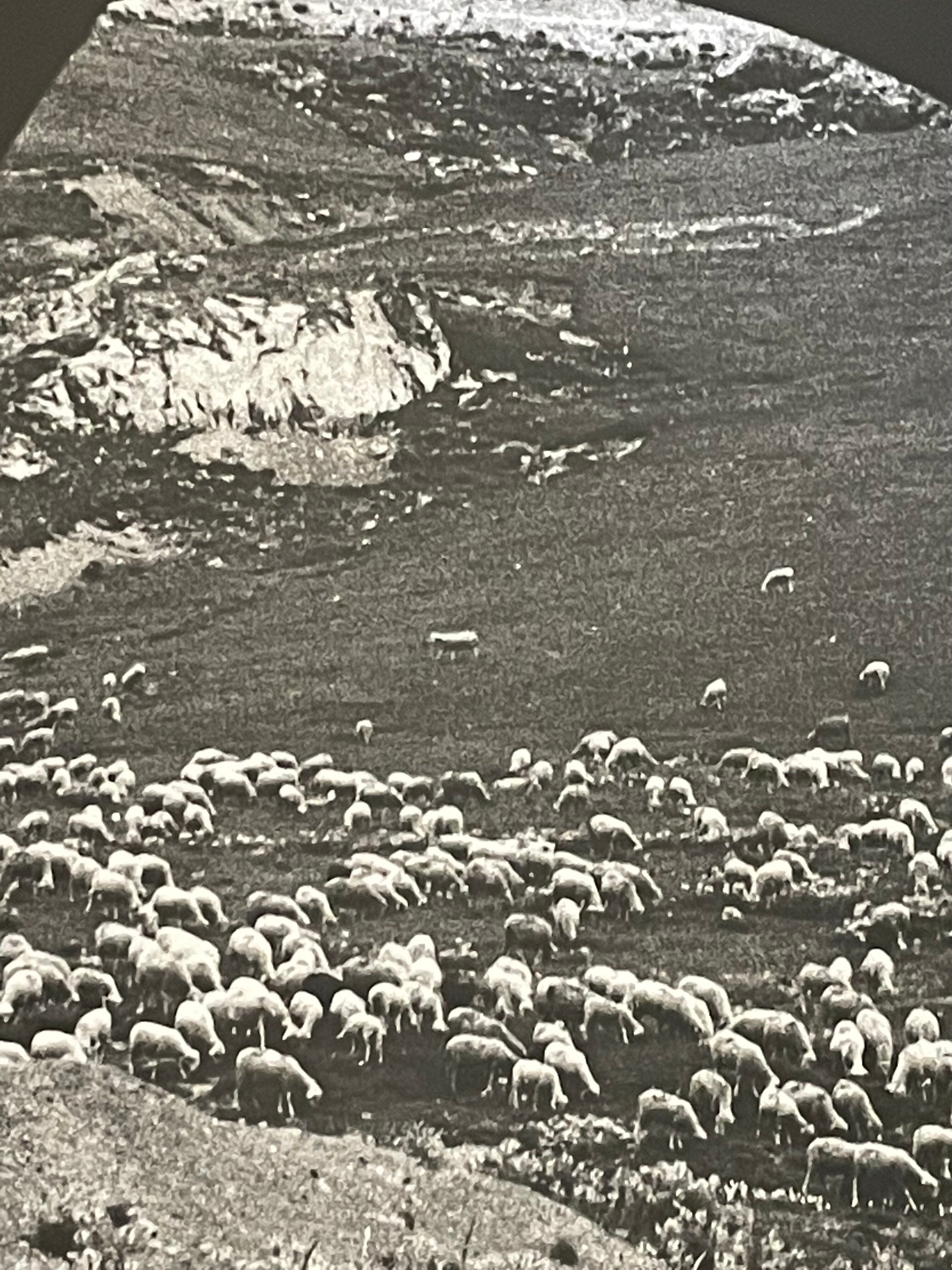 Photograph black and white silver print circa 1970