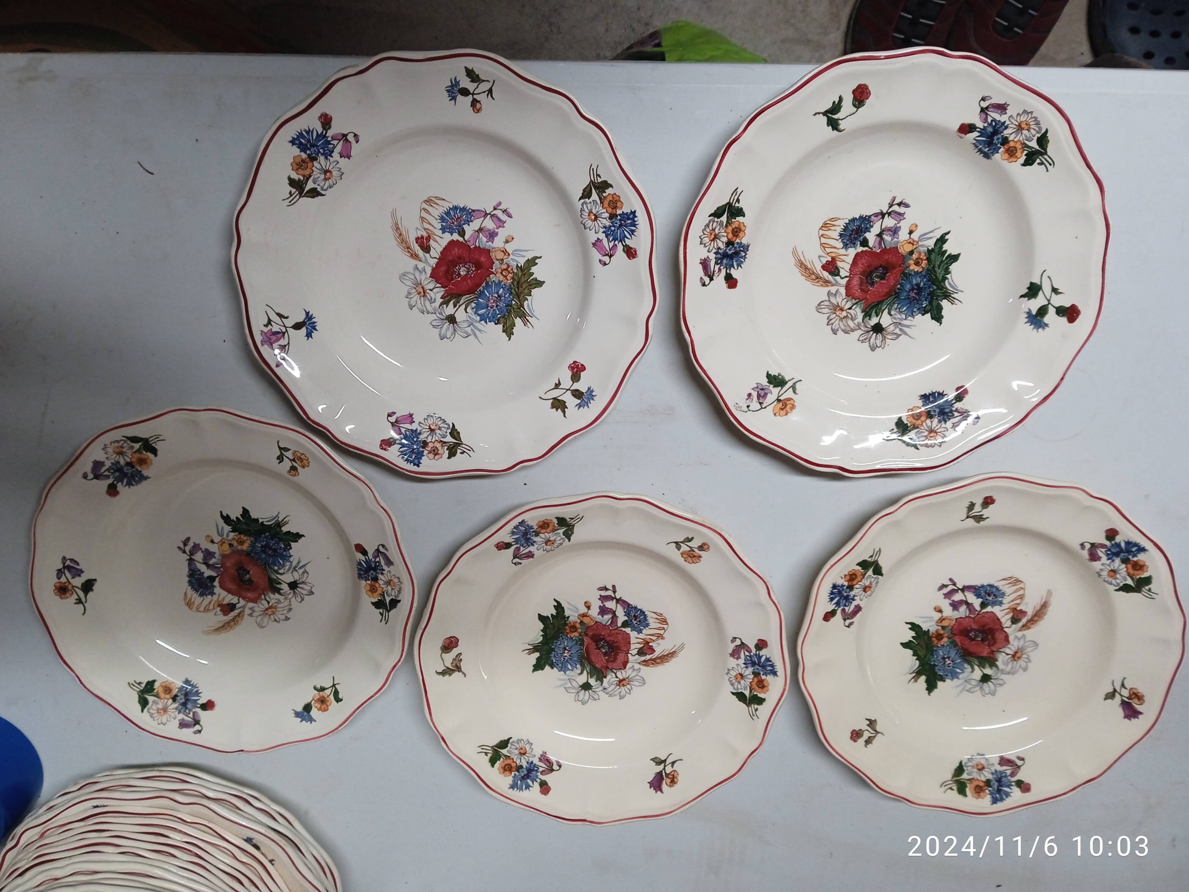 5 soup plates diameter 25 cm Agreste Sarreguemines