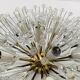 Dandelion Wall or Ceiling Lamp by Emil Stejnar for Rupert Nikoll