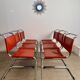 Lot 6 tubular chairs S33 design Mart Stam vintage cognac leather from the 70s