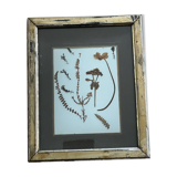 Former herbarium frame