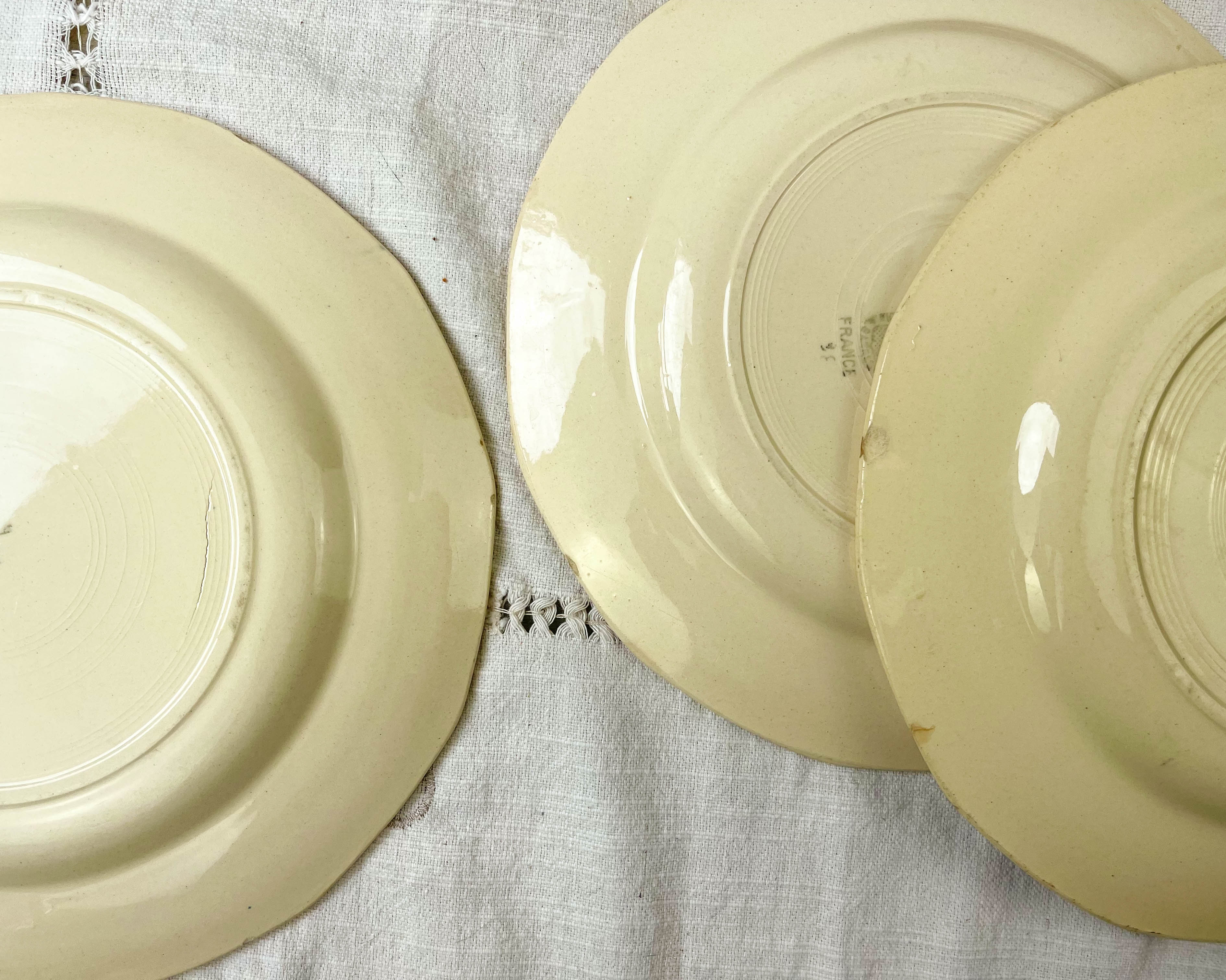 6 flat plates digoin sarreguemines model "cannes"
