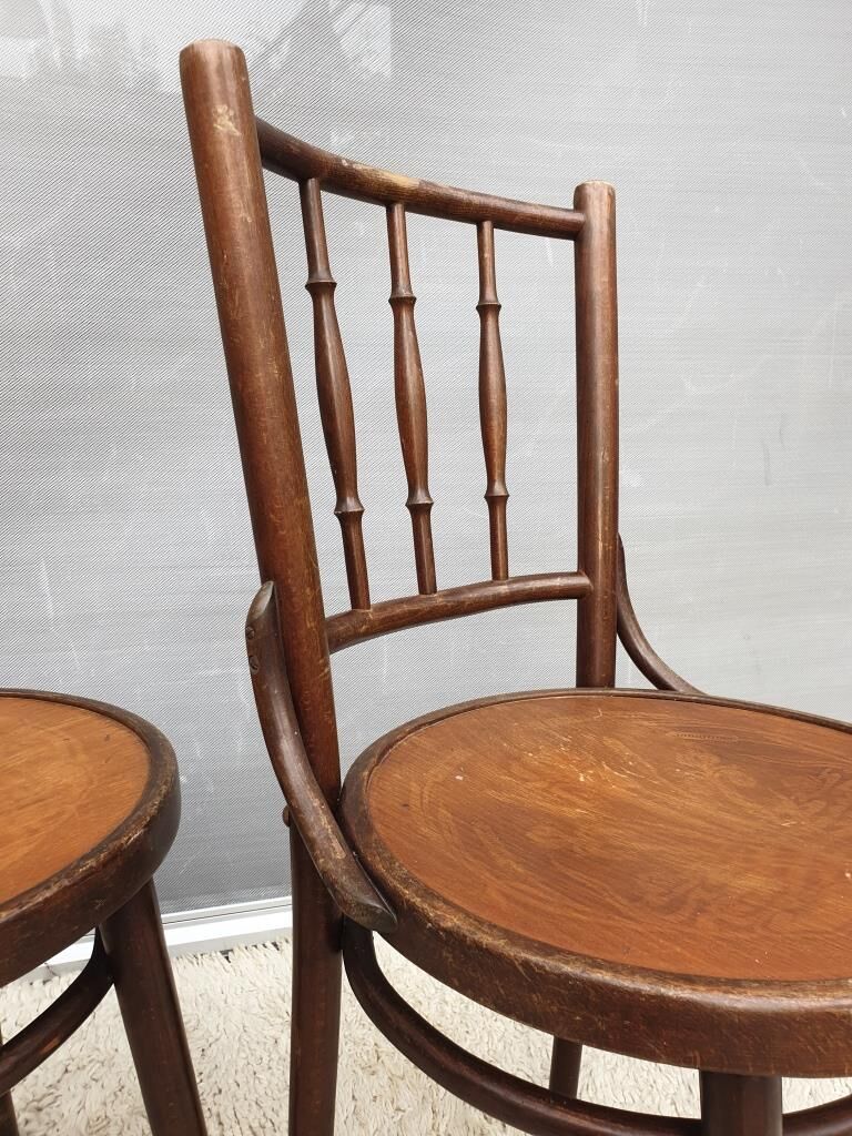 Pair chairs bistrot Thonet pyrograved design 1900 Art Nouveau