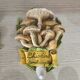 Set of 4 decorative ceramic wall plaques featuring mushrooms (signed) - 14cm