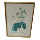 Old frame Rose bush with lettuce leaves PJ Redouté