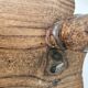 Rare Old Tripod Milking Stool Carved Solid Wood Popular Art