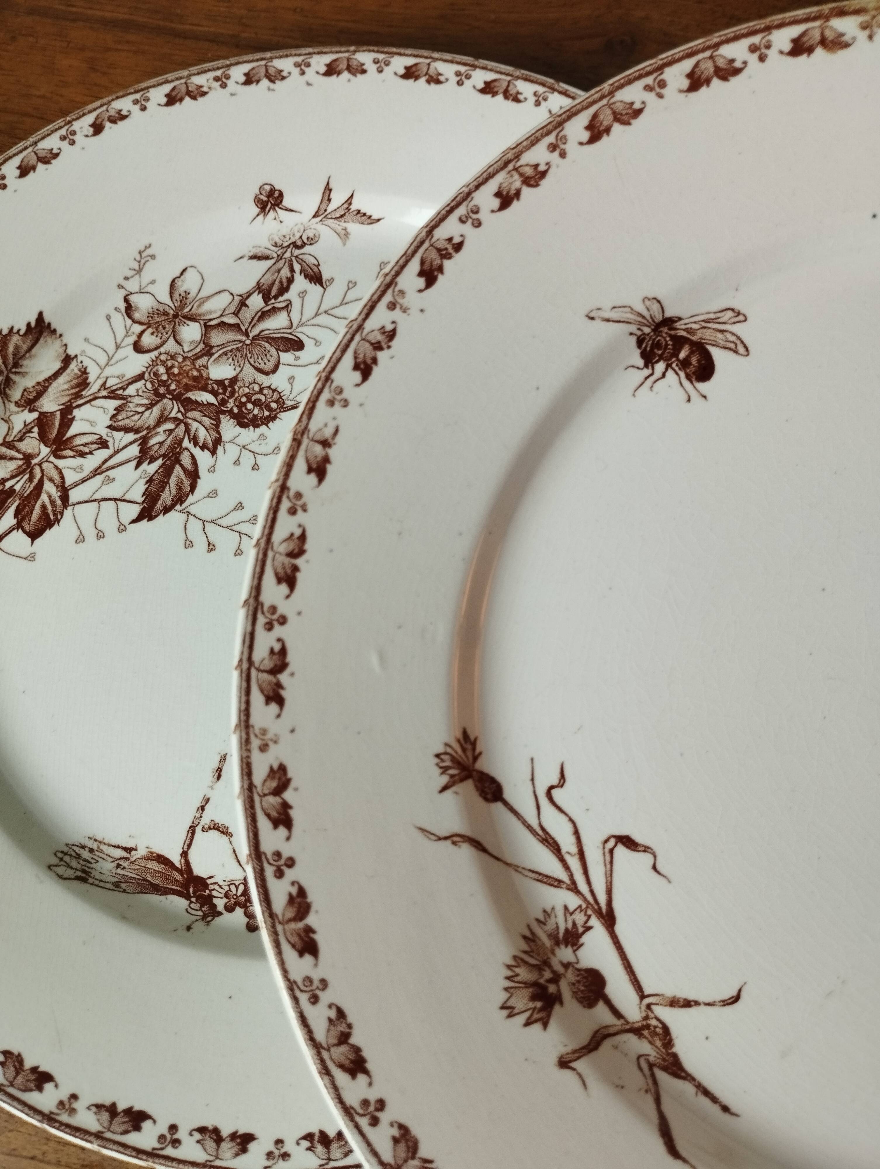 "Carmen" - 5 flat plates ø 23.5cm ironstone Sarreguemines U&C