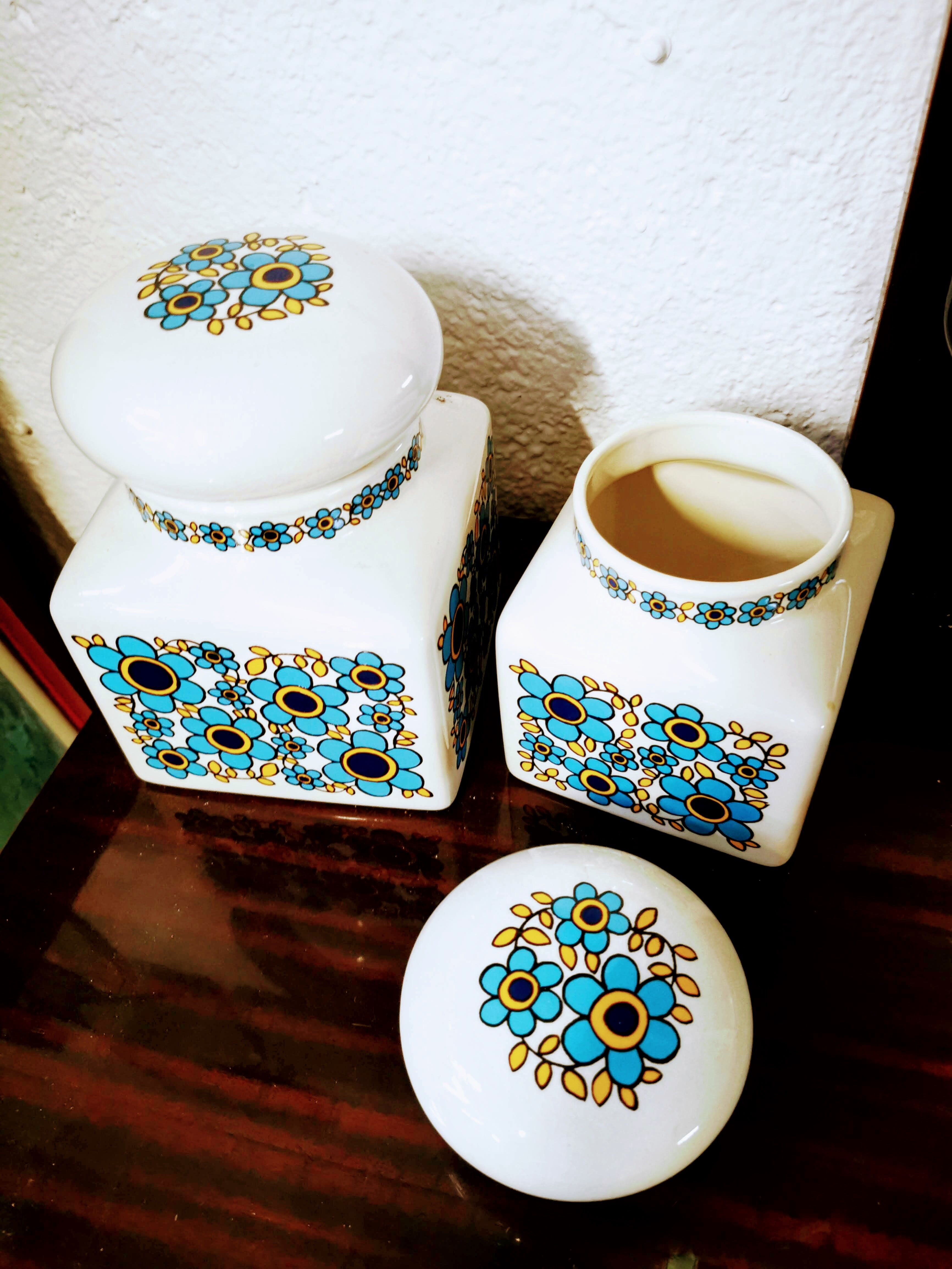 Paire de pots anglais Taunton Vale