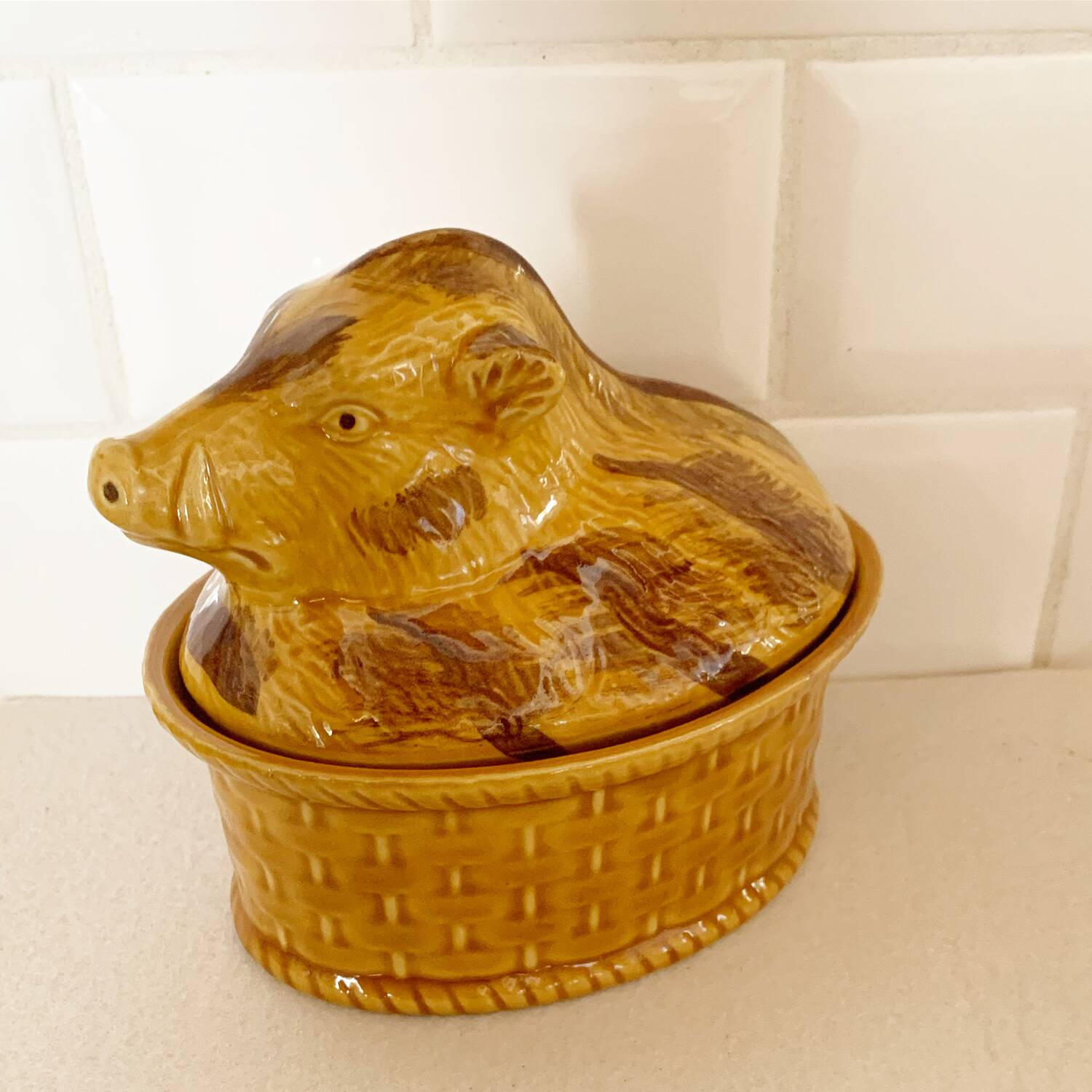 terrine sanglier geo