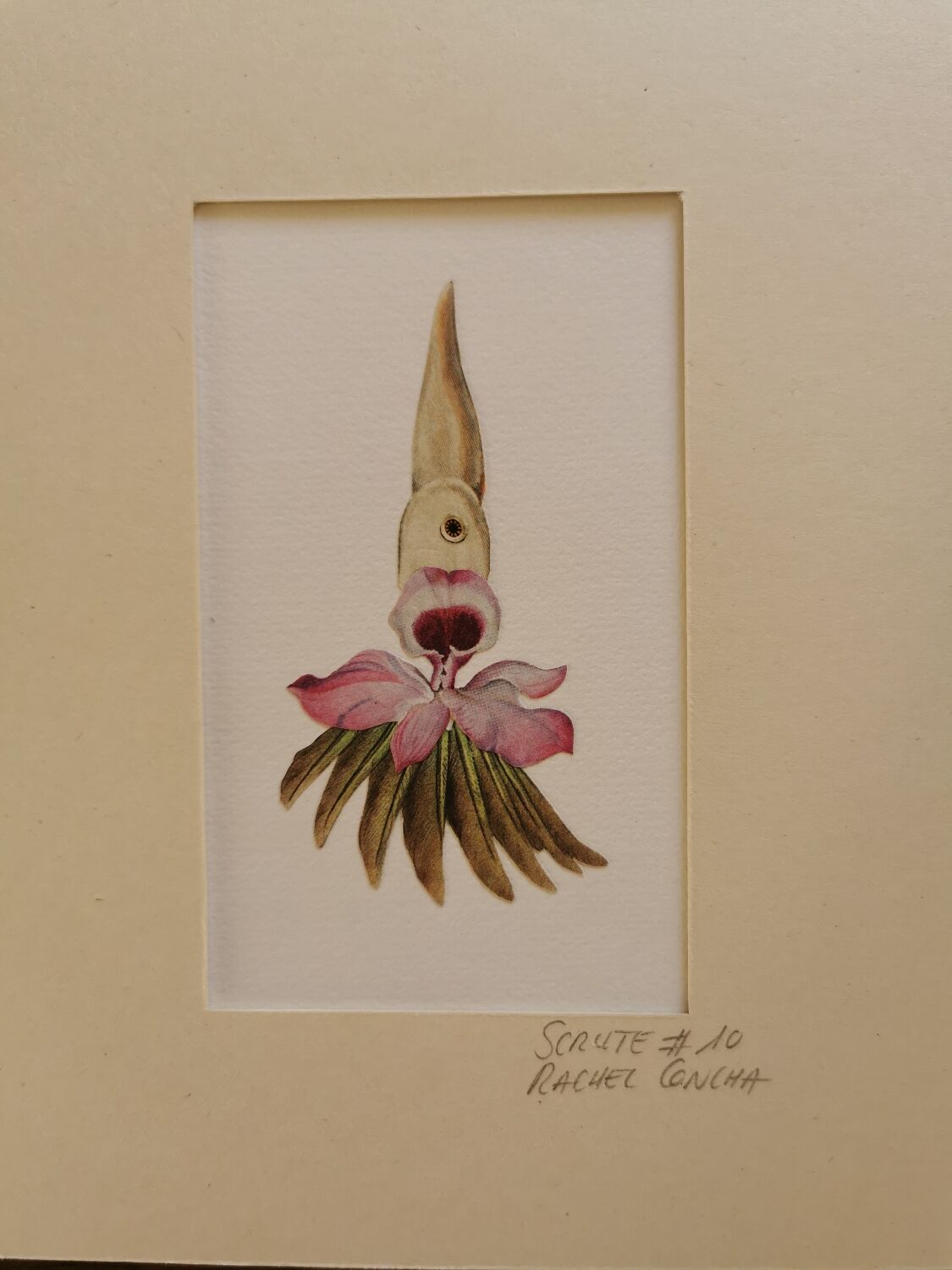 Collage illustration