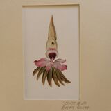 Collage illustration