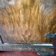 English-style wardrobe and its chest of drawers in walnut burl.