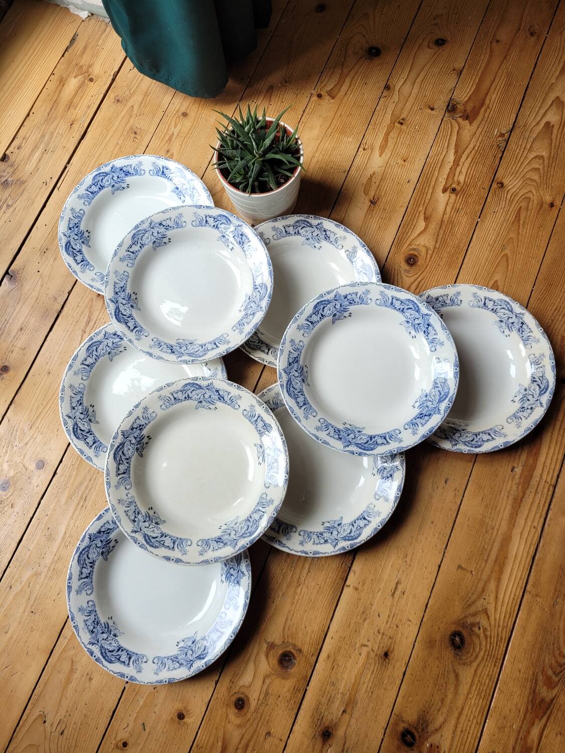 9 Ceylan soup plates from Creil and Montereau Labrador