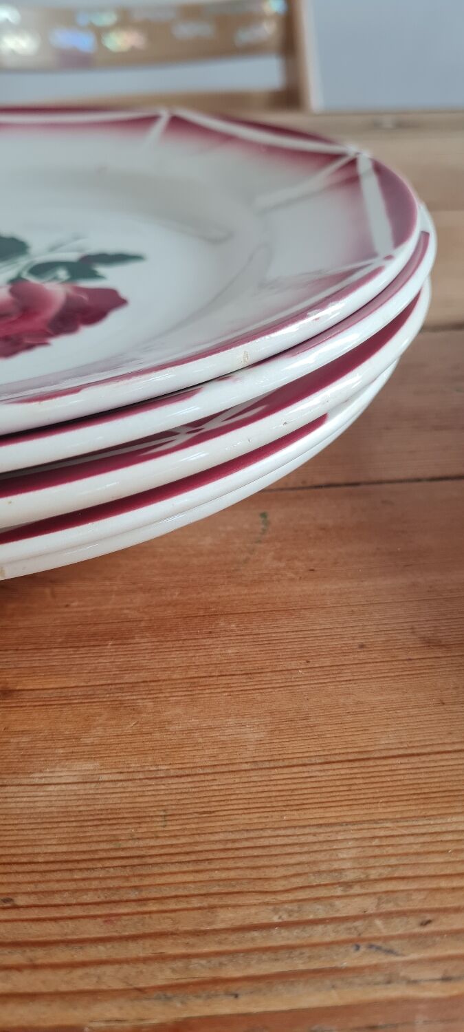 Service of 10 plates in Digoin earthenware