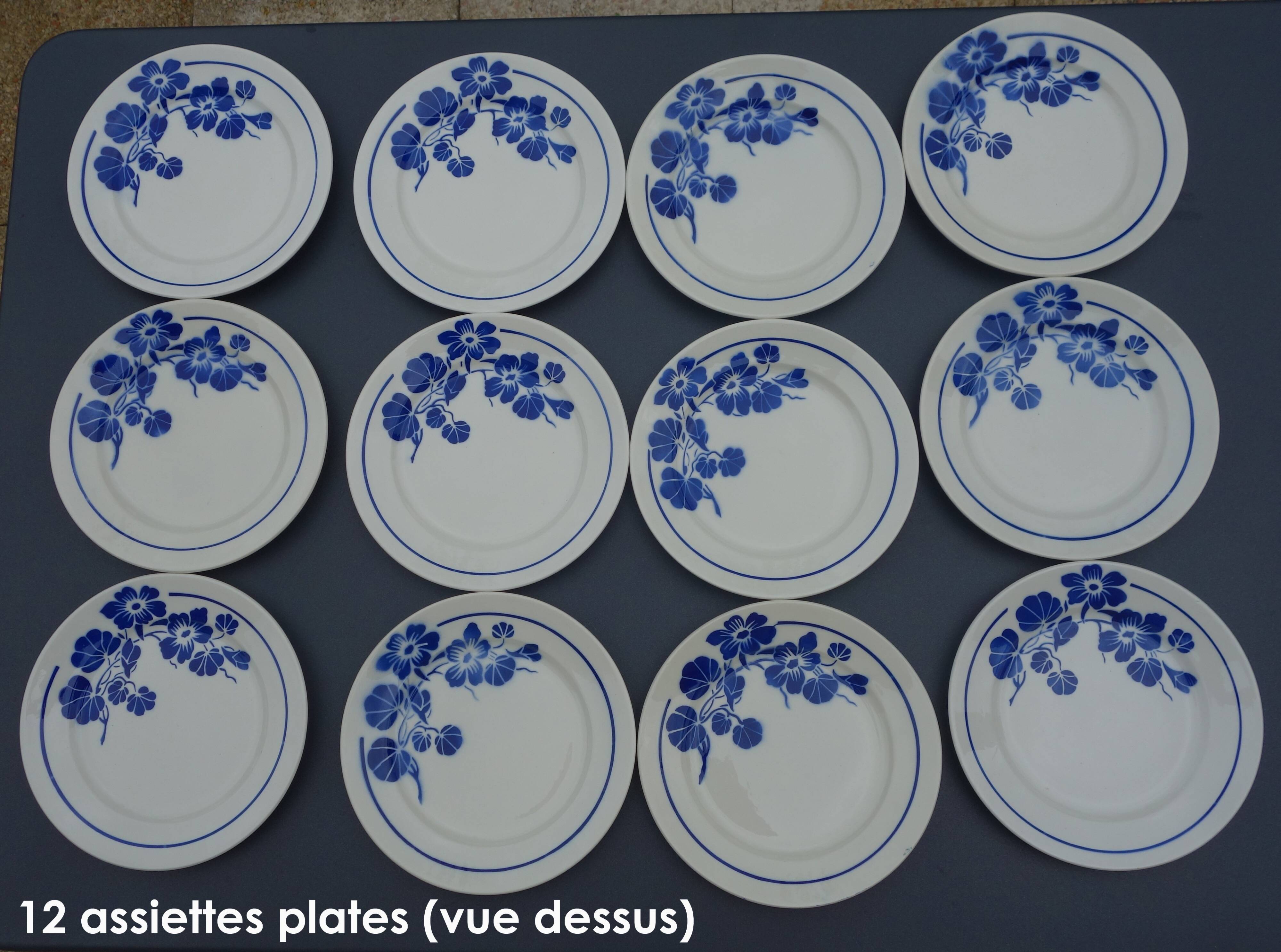 Flat plates badonviller nasturtiums