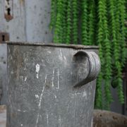 Cache pot en zinc