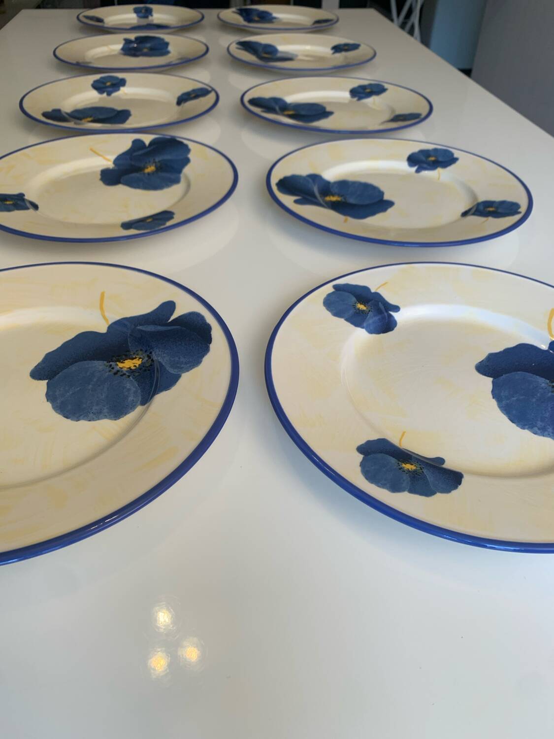 Lot de 10 assiettes plates en faïence de Lunéville