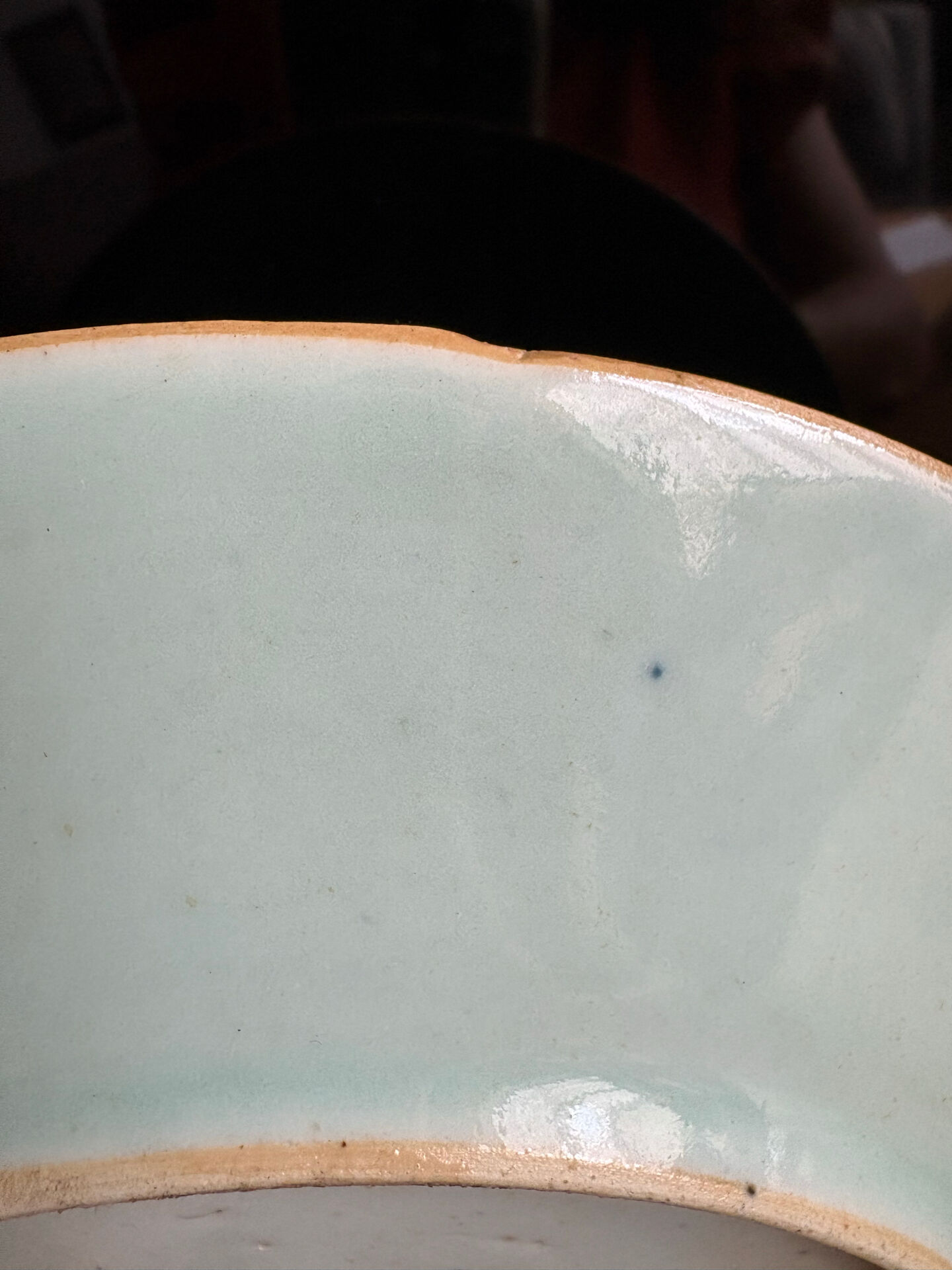 Antique celadon porcelain plate from Canton, China (1820-1850)